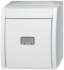 Gartenm�bel & -deko