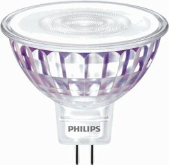 Lampen & Leuchten