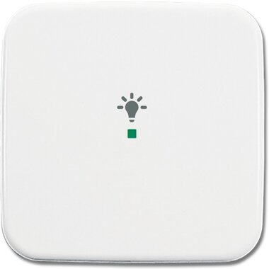 Busch-Jaeger Wippe 6231-10-214 | 6220-0-0080 Busch-Jaeger Wippe 6231-10-214 | 6220-0-0080