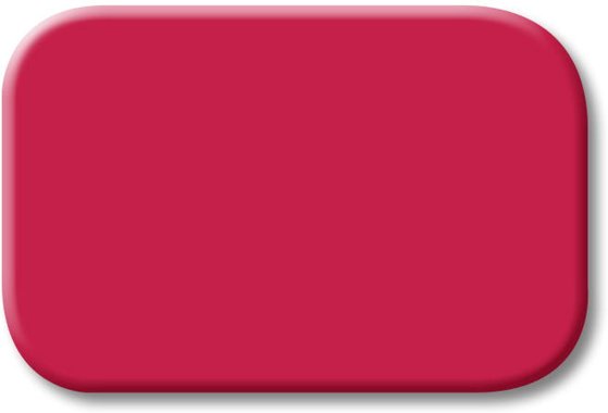 Busch-Jaeger Tastersymbol 2525-12 | 1433-0-0457