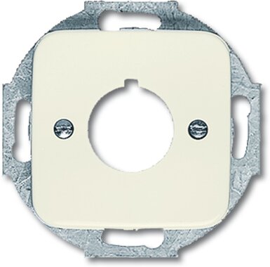 Busch-Jaeger Zentralscheibe 2533-212 | 1724-0-0210 Busch-Jaeger Zentralscheibe 2533-212 | 1724-0-0210