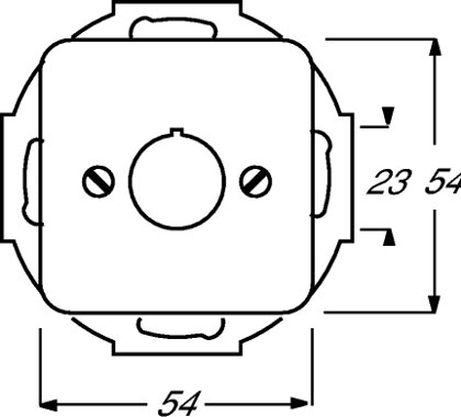 Busch-Jaeger Zentralscheibe 2533-212 | 1724-0-0210 Busch-Jaeger Zentralscheibe 2533-212 | 1724-0-0210