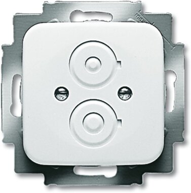 Busch-Jaeger Zentralscheibe 2530-214 | 1724-0-1119 Busch-Jaeger Zentralscheibe 2530-214 | 1724-0-1119