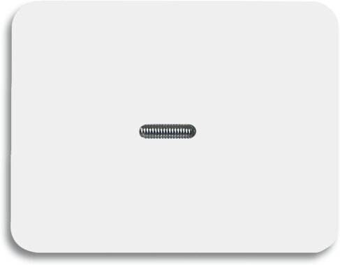 Busch-Jaeger Wippe 1787-24 | 1751-0-2060 Busch-Jaeger Wippe 1787-24 | 1751-0-2060