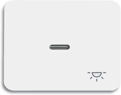 Busch-Jaeger Wippe mit Aufdruck 1789 LI-24 | 1751-0-1864 Busch-Jaeger Wippe mit Aufdruck 1789 LI-24 | 1751-0-1864