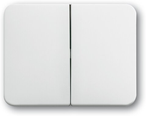 Busch-Jaeger Wippe 1785-24 | 1751-0-1914 Busch-Jaeger Wippe 1785-24 | 1751-0-1914