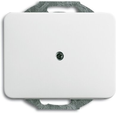 Busch-Jaeger Blindzentralscheibe 1742-24 | 1753-0-1571 Busch-Jaeger Blindzentralscheibe 1742-24 | 1753-0-1571