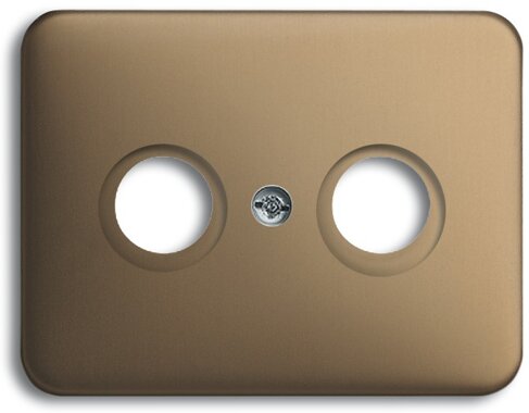 Busch-Jaeger Zentralscheibe 1743-21 | 1753-0-1449 Busch-Jaeger Zentralscheibe 1743-21 | 1753-0-1449