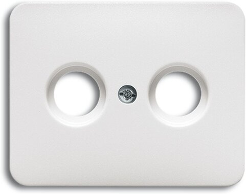 Busch-Jaeger Zentralscheibe 1743-24 | 1753-0-1589 Busch-Jaeger Zentralscheibe 1743-24 | 1753-0-1589