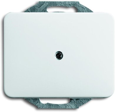 Busch-Jaeger Zentralscheibe 1749-24 | 1710-0-0979 Busch-Jaeger Zentralscheibe 1749-24 | 1710-0-0979