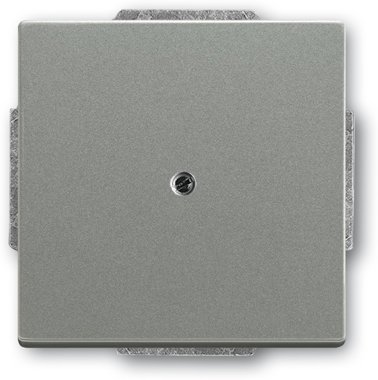 Busch-Jaeger Blindzentralscheibe 1742-803 | 1710-0-3843