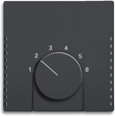 Busch-Jaeger Zentralscheibe 1794-885 | 1710-0-3907 Busch-Jaeger Zentralscheibe 1794-885 | 1710-0-3907