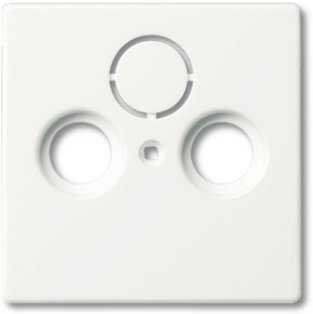 Busch-Jaeger Zentralscheibe 1743-884 | 1724-0-4293