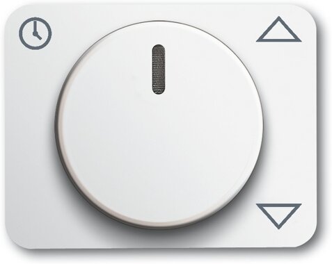 Busch-Jaeger Zentralscheibe 6436-24G | 6430-0-0369 Busch-Jaeger Zentralscheibe 6436-24G | 6430-0-0369