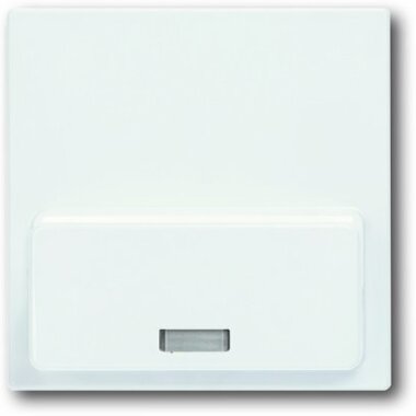 Busch-Jaeger Zentralscheibe 8254-84 | 8200-0-0135 Busch-Jaeger Zentralscheibe 8254-84 | 8200-0-0135