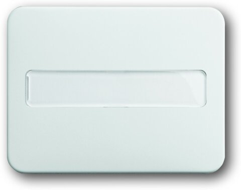 Busch-Jaeger Wippe 1764 NLI-24G | 1731-0-1569