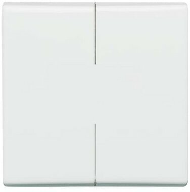 Busch-Jaeger Wippe 2105-34 | 1731-0-1601