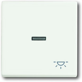 Busch-Jaeger Wippe mit Aufdruck 1789 LI-884 | 1751-0-3031