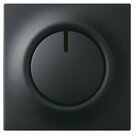 Busch-Jaeger Zentralscheibe 6540-775 | 6599-0-2974