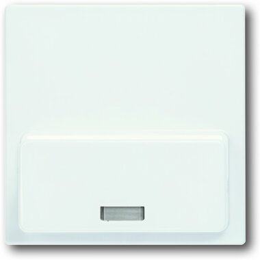 Busch-Jaeger Zentralscheibe 8254-84 | 8200-0-0135 Busch-Jaeger Zentralscheibe 8254-84 | 8200-0-0135