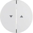 Berker 16252089 Wippen Symbol Pfeil R.1/R.3