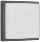 LCD 045 Wandleuchte Graphit, 2x E27