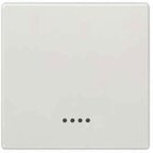 Siemens 5TG7140 Wippe mit Fenster 68X68MM TSW